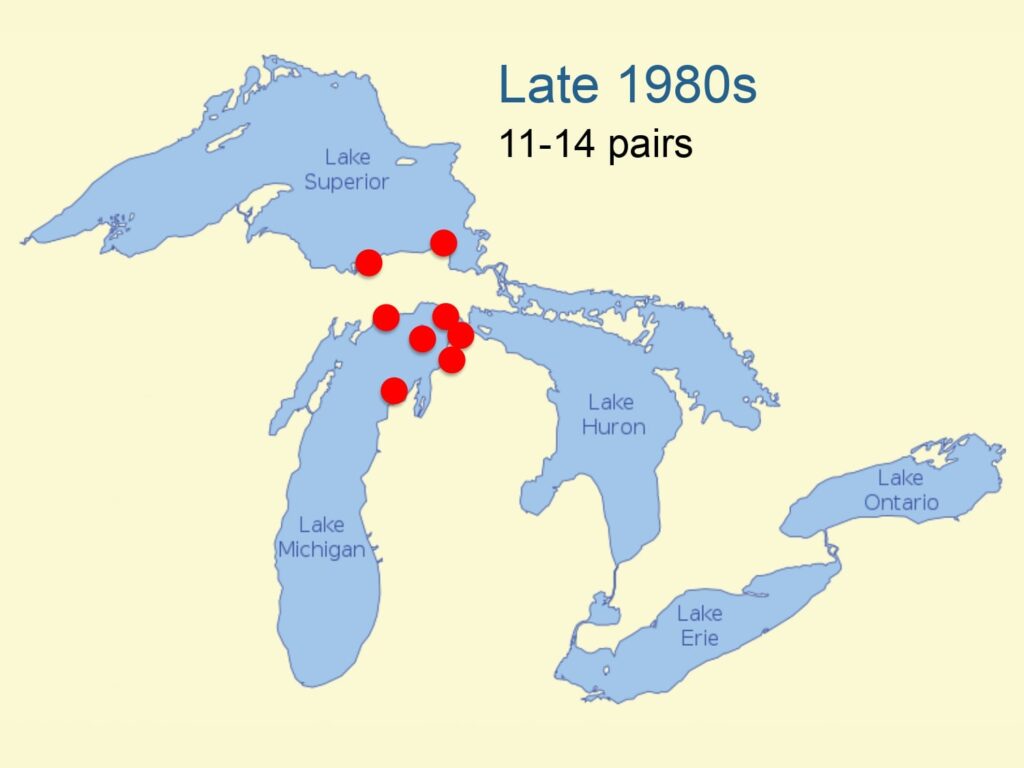 A map showing nesting pairs in the Great Lakes in the late 1980s. Pairs were only present along Lake Michigan and Lake Superior.