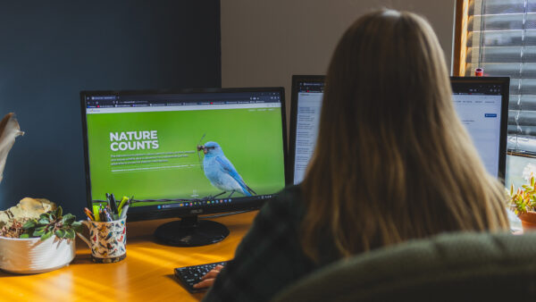 A woman sits in front of two computer monitors showing the NatureCounts website