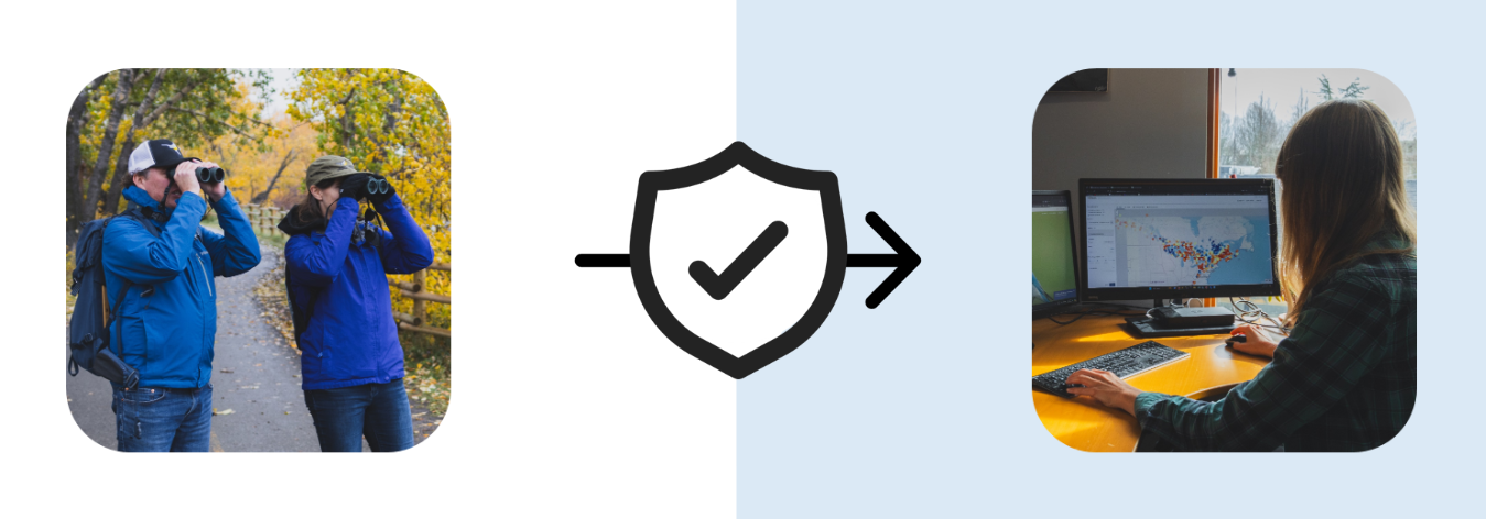 A graphic showing a secure connection between data collectors and data users.