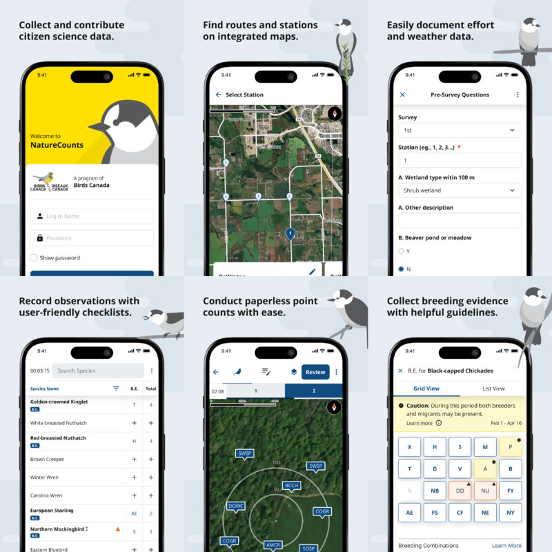 A collage of screenshots from the NatureCounts app.