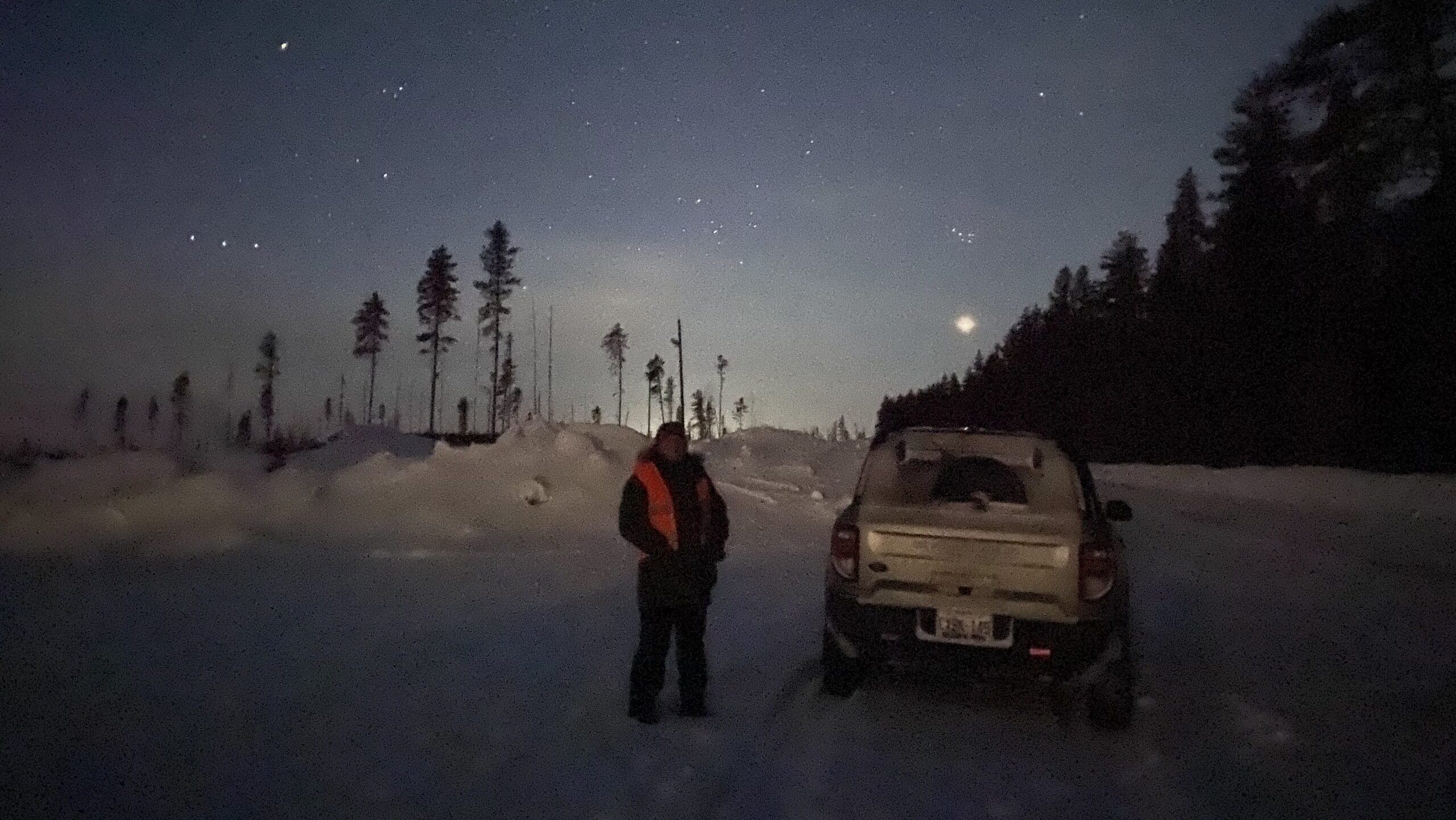 An owl survey volunteer stands on a road under a dark sky.