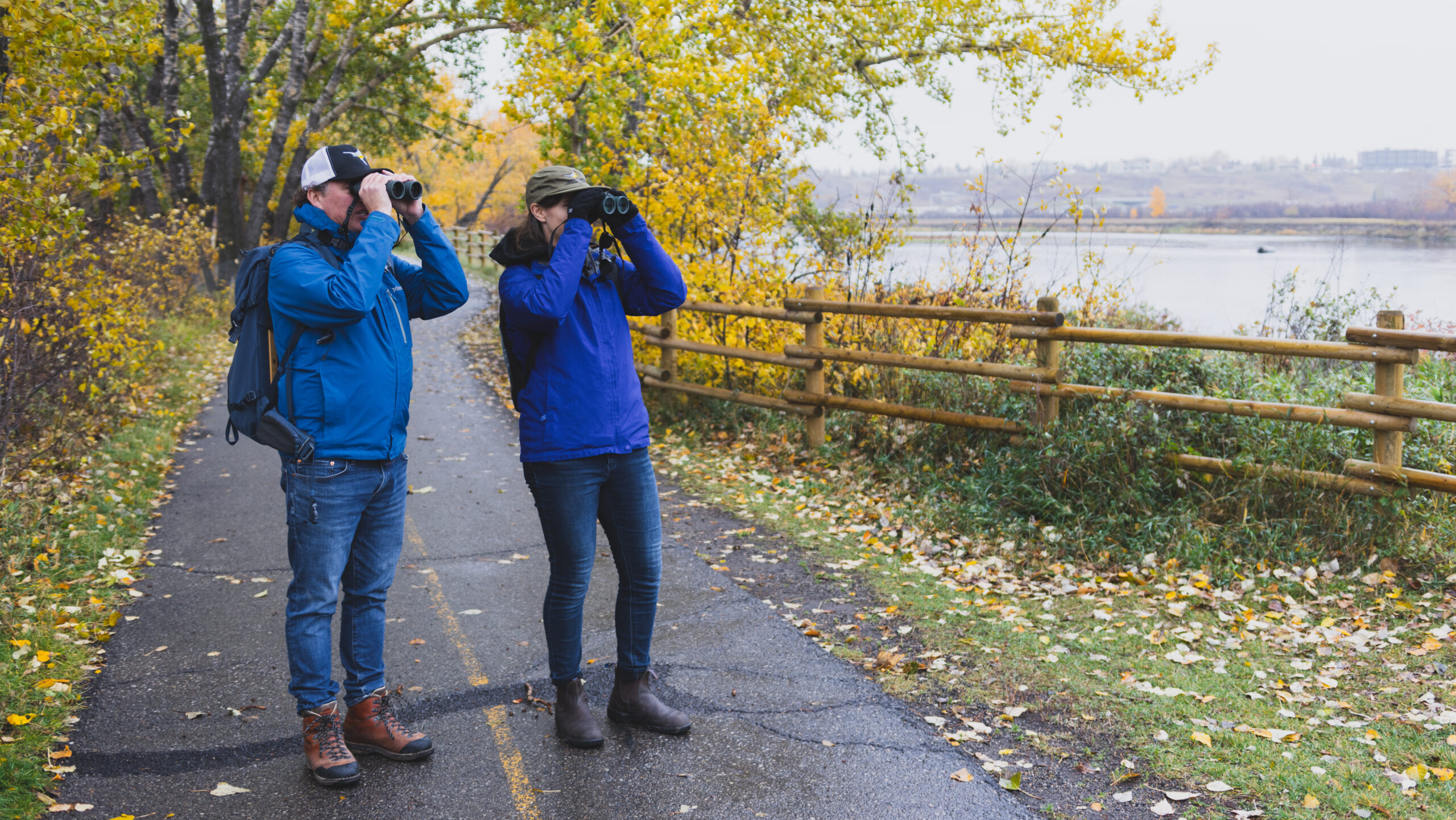 Two birdwatchers stand on a trail, looking into the distance through binoculars.