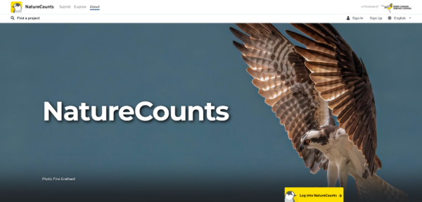 A screemshot of the NatureCounts homepage.