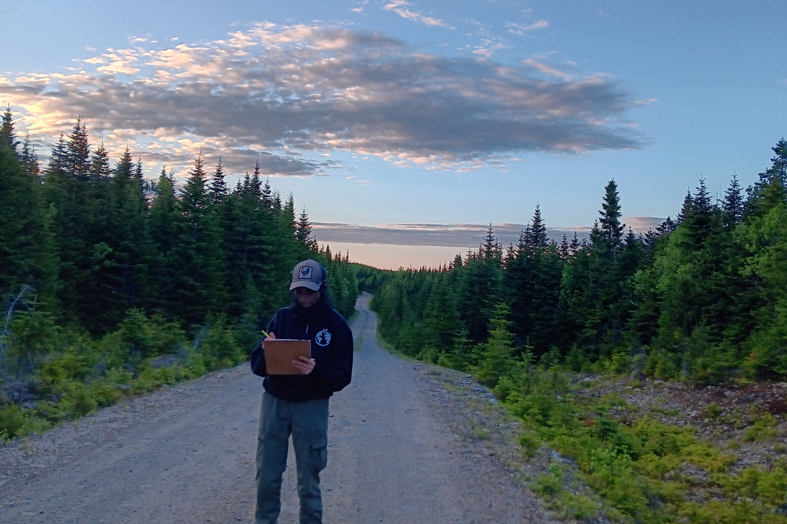 A birdwatcher is standing on a gravel road before dawn, writing on a clipboard.
