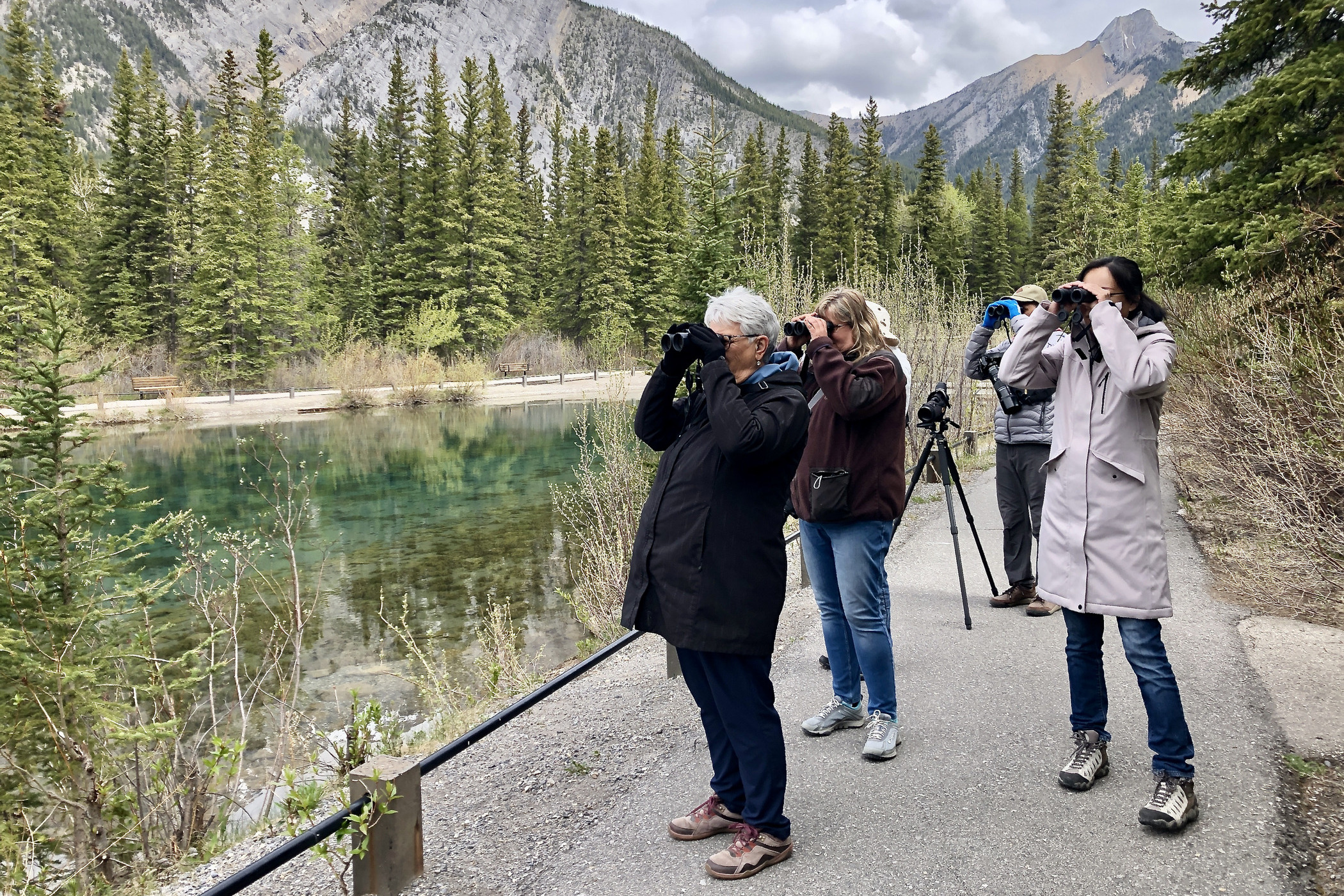 A group of volunteer birdwatchers looks through binoculars in a mountain landscape.
