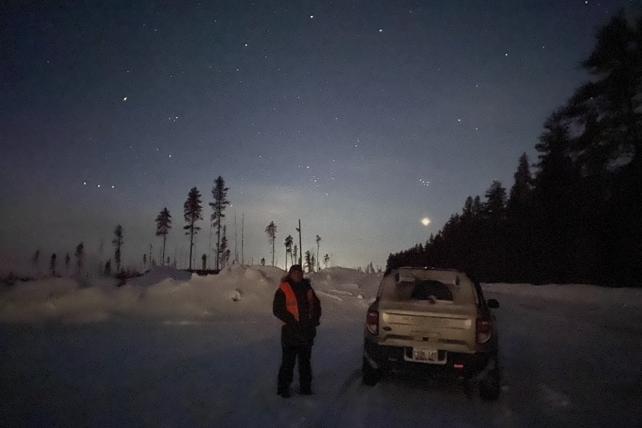 An owl survey volunteer stands on a road under a dark sky.