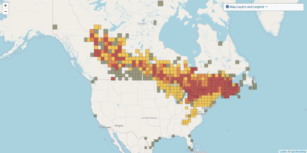 A map of North America is covered in colored squares indicating the breeding range of Canada Warbler.