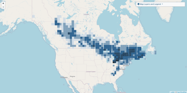 A map of North American covered by colored squares indicating the number of detections of Canada Warbler.
