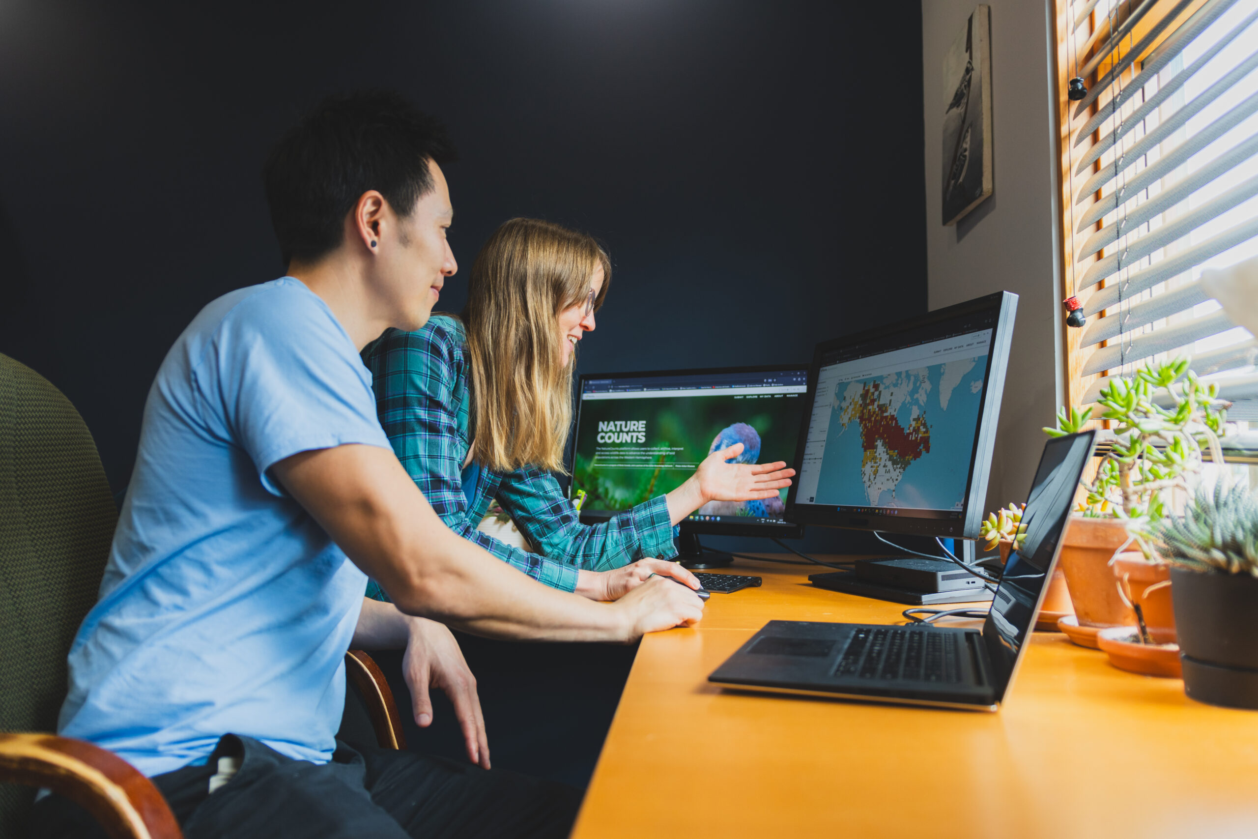 An Asian man and Caucasian woman lean over a desk with multiple computer screens. They're looking excitedly at a map of bird sightings on one monitor.